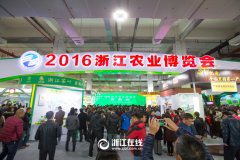 看展覽、嘗美食、囤年貨 2016浙江農(nóng)博會(huì)